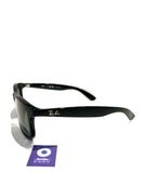 Ray-Ban  RB4202